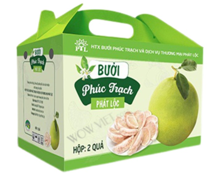 hop-dung-buoi-1