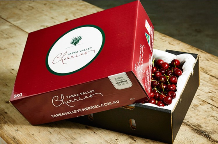 hop-dung-cherry-1