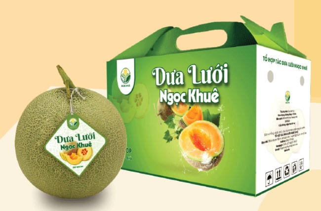 hop-dung-dua-luoi-1