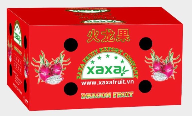 in-thung-thanh-long-3