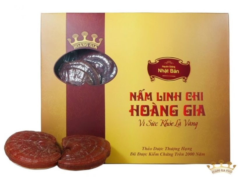 hop-dung-nam-linh-chi-3