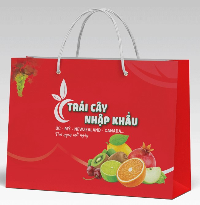 tui-giay-dung-hoa-qua-1