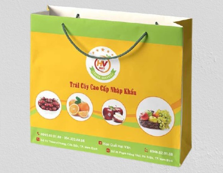 tui-giay-dung-hoa-qua-2