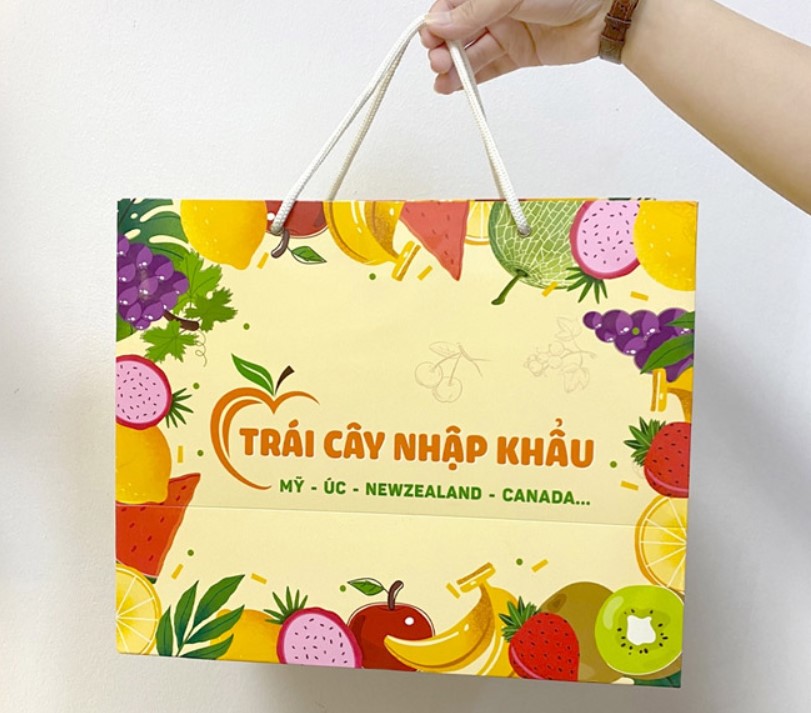 tui-giay-dung-hoa-qua-5