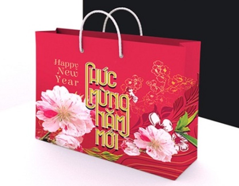 tui-giay-dung-qua-tet-2